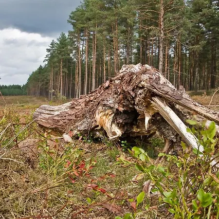 Agroturystyka Sominy Piotr Exteriér fotografie