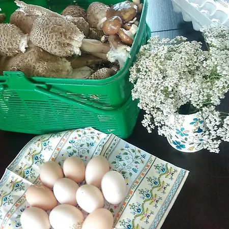 Agroturystyka Sominy Piotr Exteriér fotografie