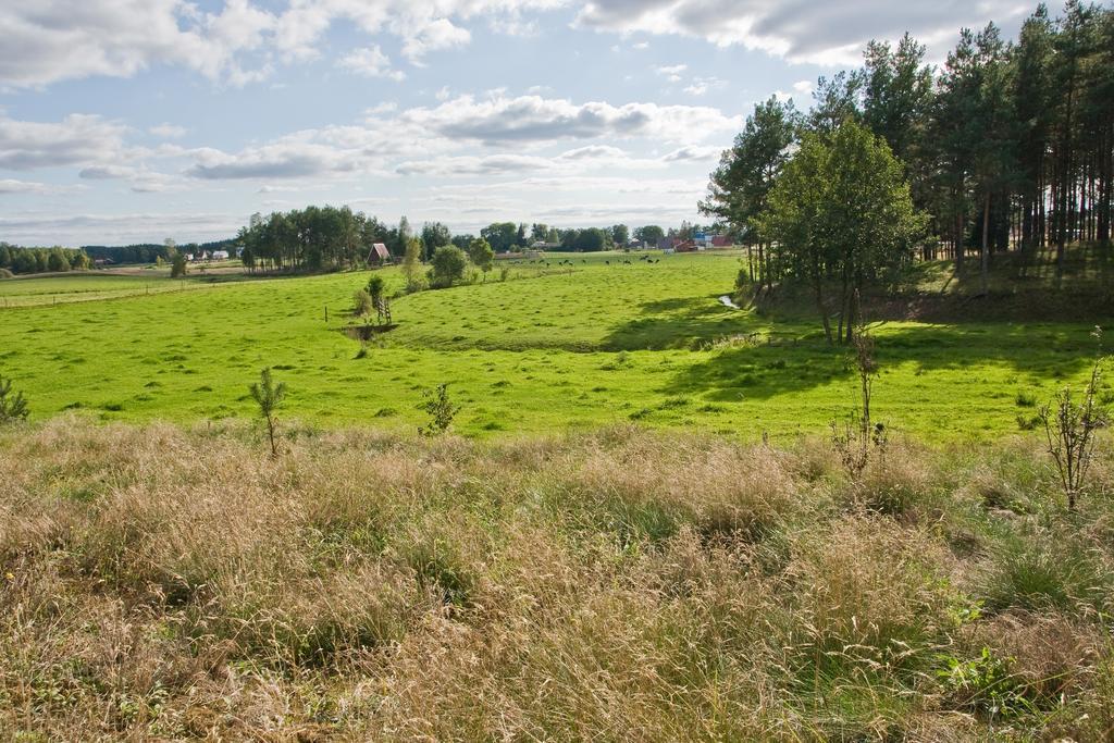 Agroturystyka Sominy Piotr Farm stay *