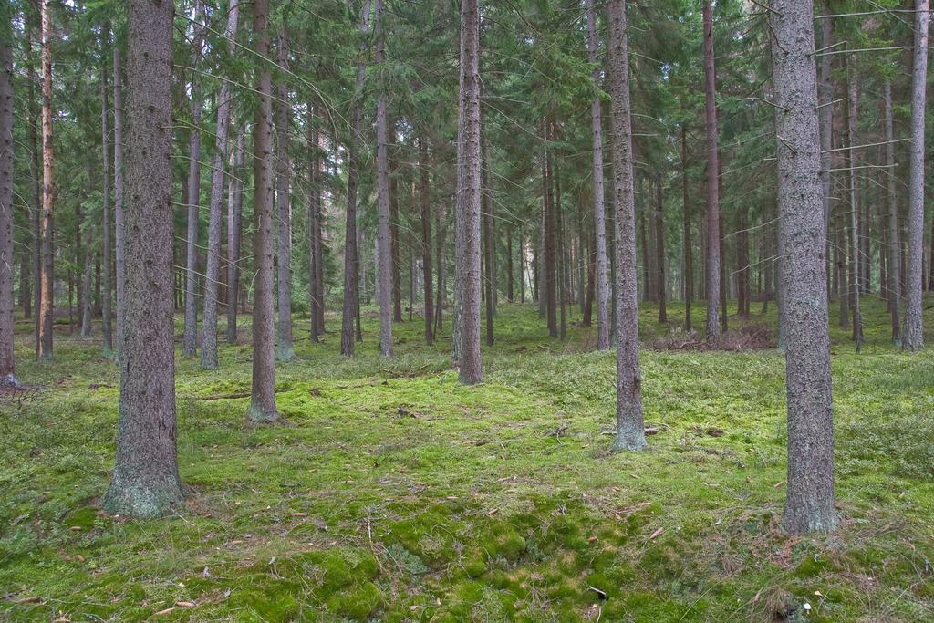 Agroturystyka Sominy Piotr