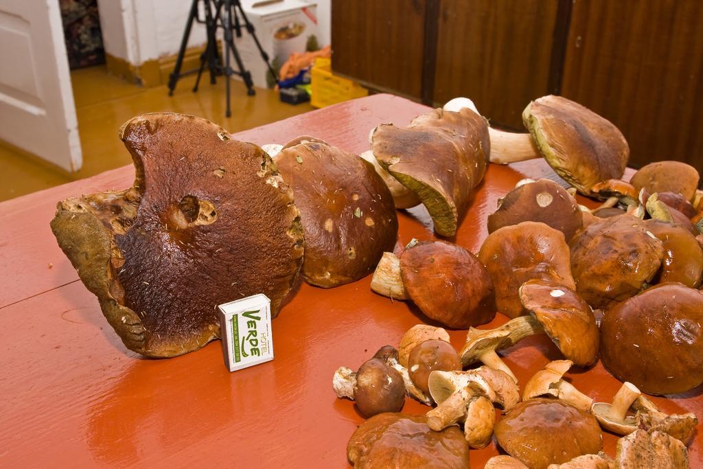 Agroturystyka Sominy Piotr