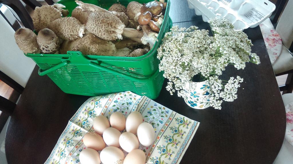 Farm stay Agroturystyka Sominy Piotr *
