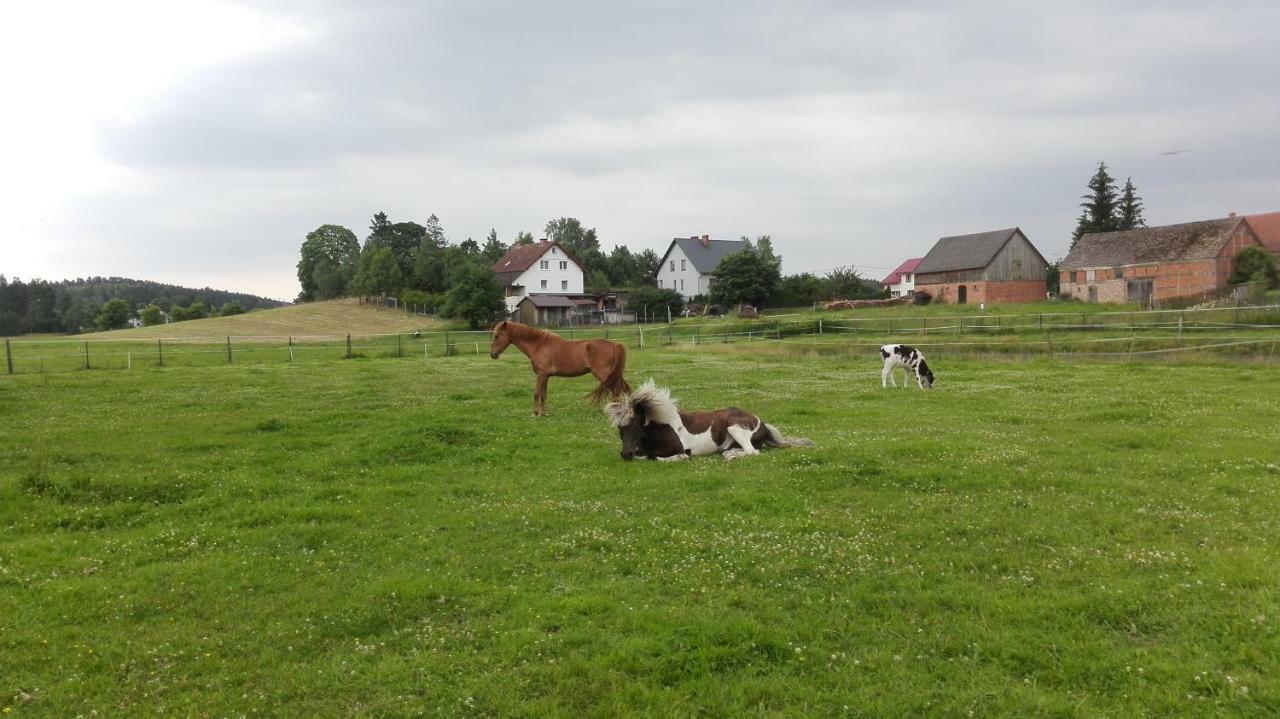 Agroturystyka Sominy Piotr Farm stay