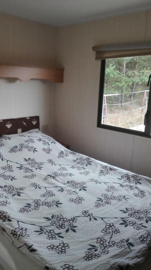 Agroturystyka Sominy Piotr Farm stay